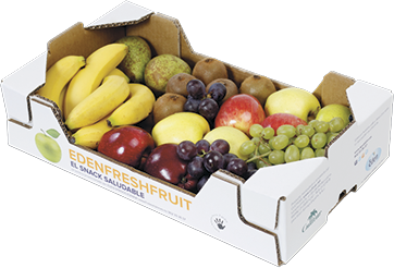G2J_AguaEden_GP1_edenfreshfruit